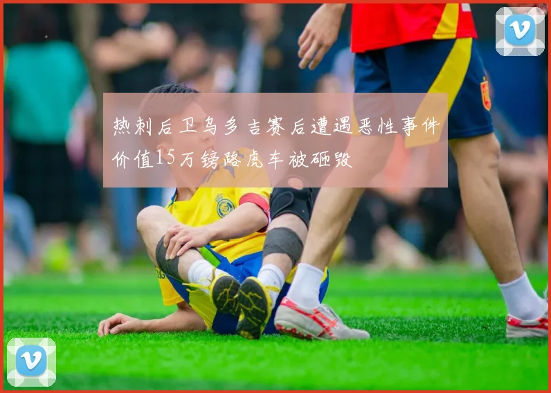 热刺后卫乌多吉赛后遭遇恶性事件价值15万镑路虎车被砸毁