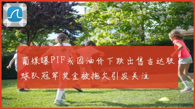 葡媒曝PIF或因油价下跌出售吉达联球队冠军奖金被拖欠引发关注